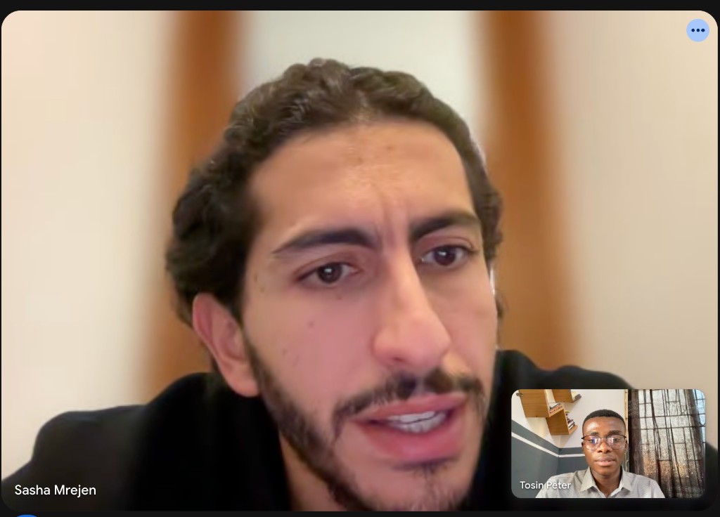 Video call with Sasha Mrejen about Working session